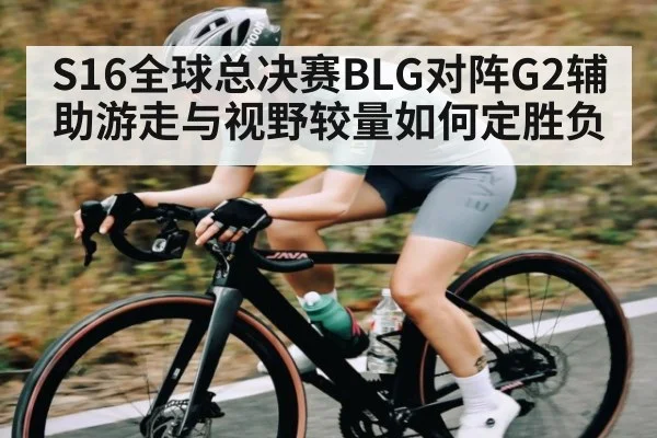 S16全球总决赛BLG对阵G2辅助游走与视野较量如何定胜负